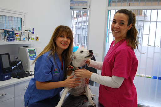 Centro Veterinario La Estrella-daimiel en Daimiel