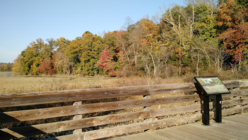 Park «Government Island», reviews and photos, 191 Coal Landing Road, Stafford, VA 22554, USA