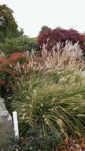 Country Club «Tedesco Country Club», reviews and photos, 154 Tedesco St, Marblehead, MA 01945, USA