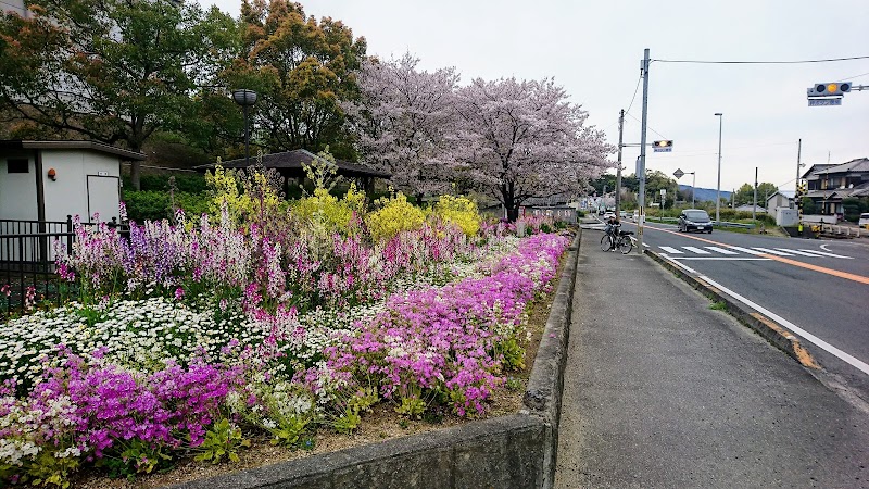 うましの駐車場