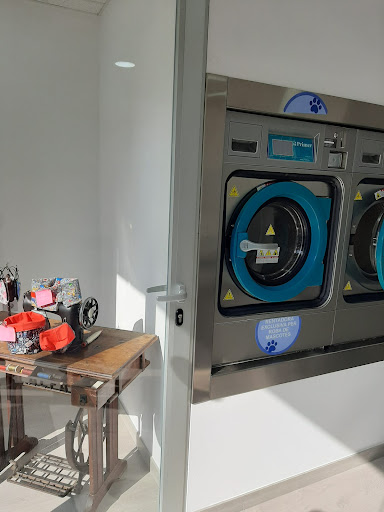 Rayo Washing en Abrera, Barcelona