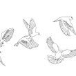 Two Doves Psychotherapy Services