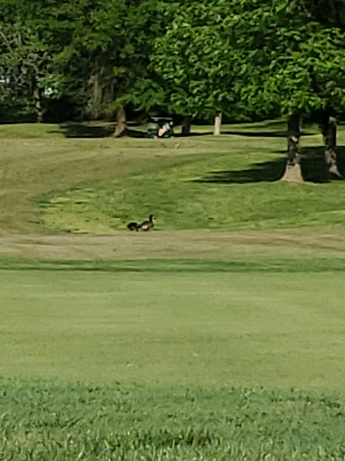 Golf Course «Sun Valley Golf Course», reviews and photos, 6505 Bethany Ln, Louisville, KY 40272, USA