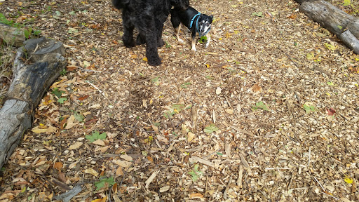 Dog Park «Waterman St. Dog Park», reviews and photos, 320 Waterman St, Providence, RI 02906, USA