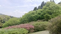 久留米森林つつじ公園