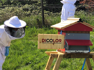 CowoBee - Ruche en entreprise à Chalon-sur-Saône