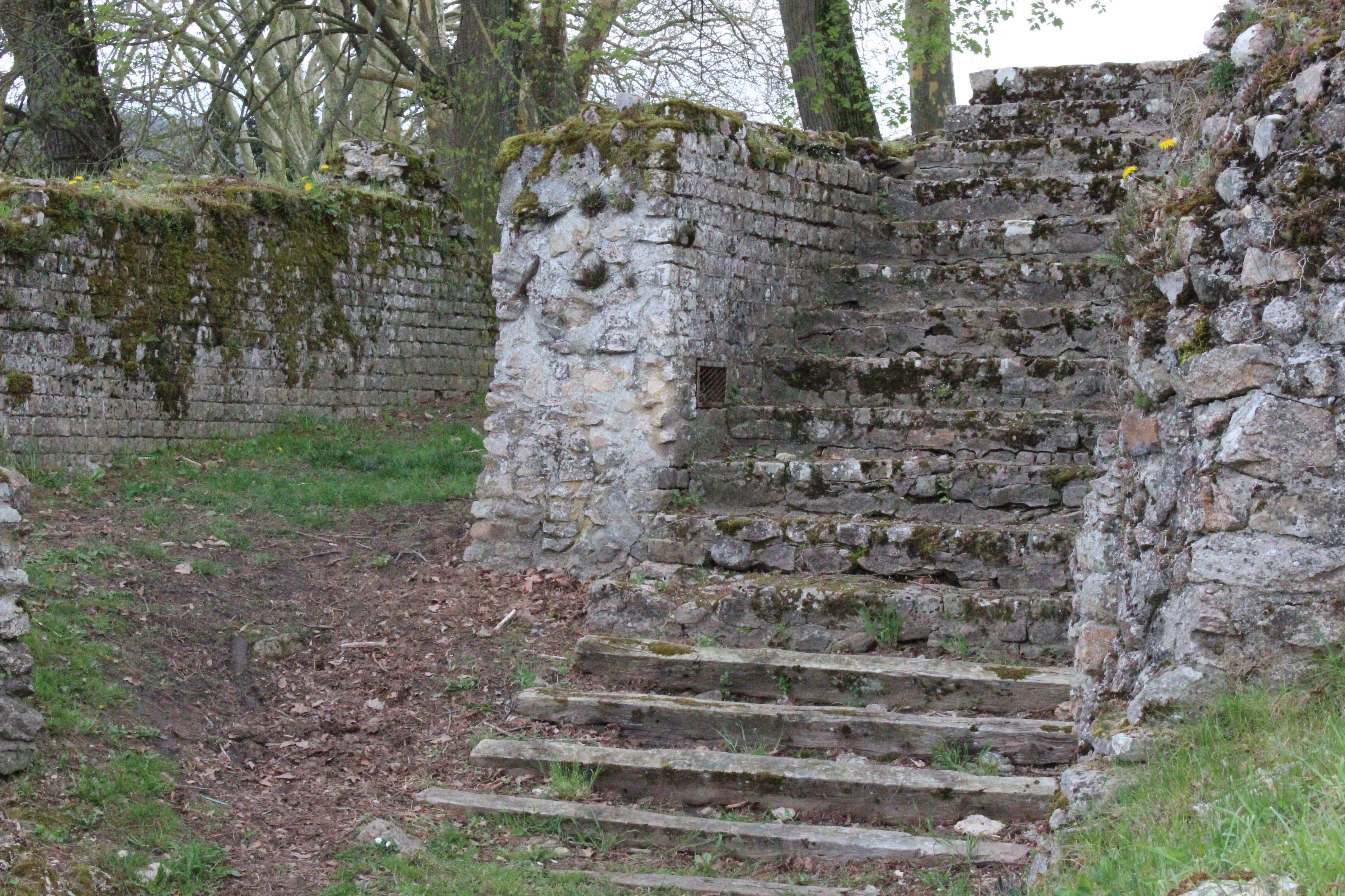 Photo n° 1 de l'avis de Michel.l fait le 23/04/2019 à 16:43