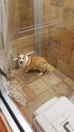 Pet Supply Store «PetSmart», reviews and photos, 790 Jefferson Rd #200, Rochester, NY 14623, USA