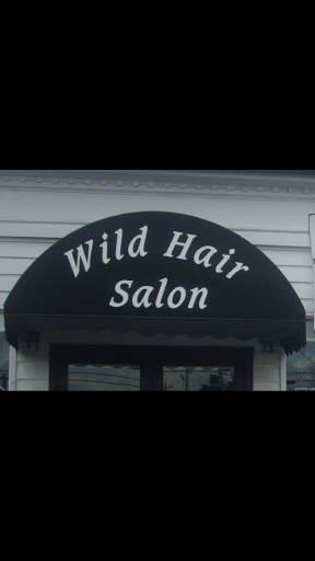 Wild Hair Salon, 34 Blue Ridge Dr, McCaysville, GA 30555, USA