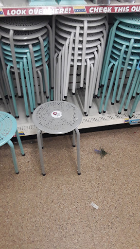 Dollar Store «Dollar Tree», reviews and photos, 1305 Sidney Baker St, Kerrville, TX 78028, USA