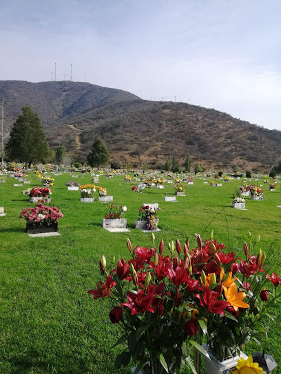 Cementerio El Melón