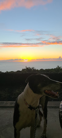 Webb Chiropractic Wellness Center - Photo 8 - Car repair in Anchorage, AK, Anchorage