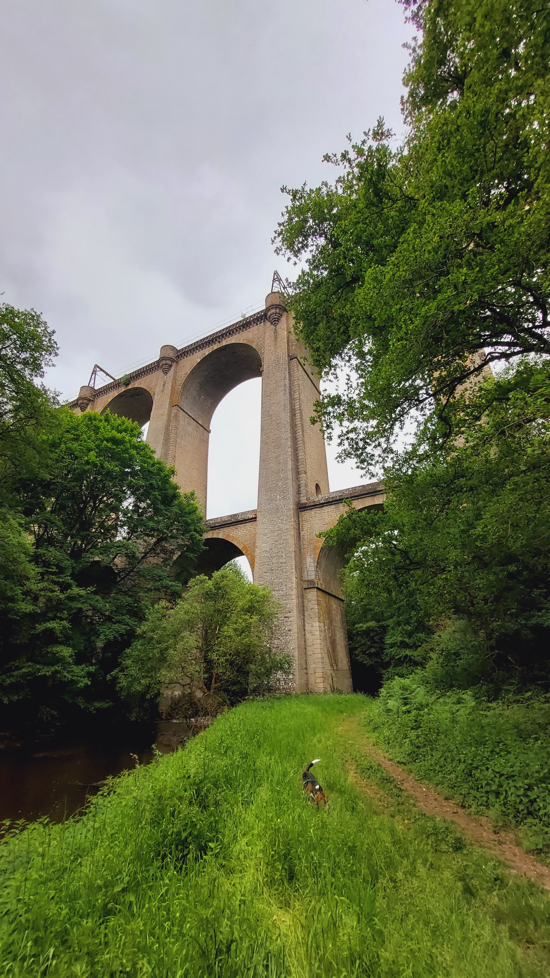 Photo n° 1 de l'avis de Nadège.i fait le 26/05/2022 à 15:56