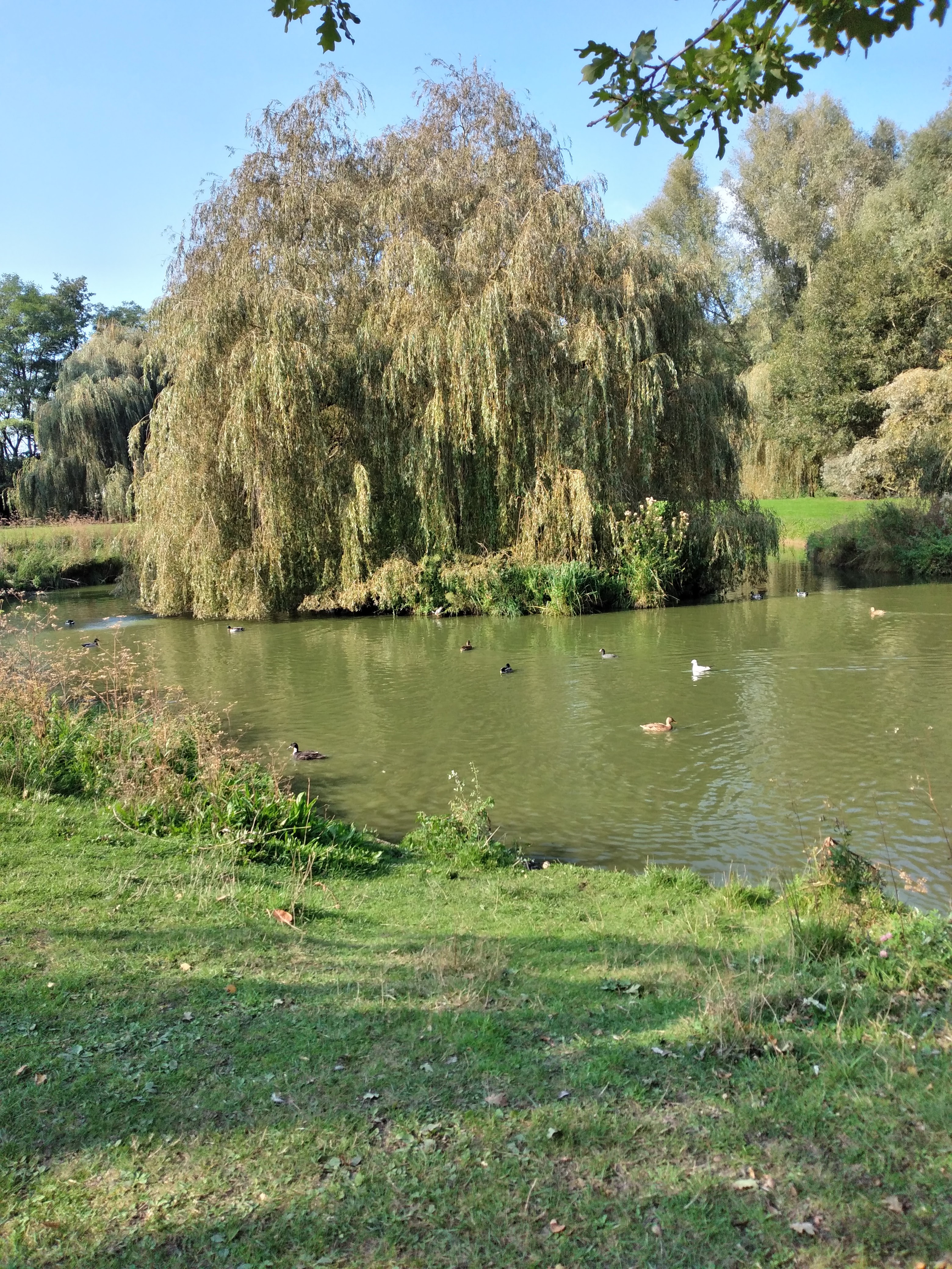Photo n° 1 de l'avis de Hélani.e fait le 31/10/2021 à 04:25