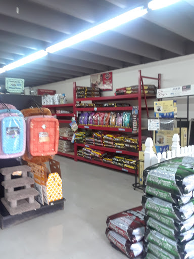 Pet Store «Southside Pet Shop», reviews and photos, 7031 Southside Dr, Louisville, KY 40214, USA