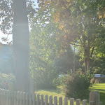 Photo n°5 de l'avis de Akash.h fait le 02/07/2023 à 20:59 sur le  Hotel Ladage à Frankfurt