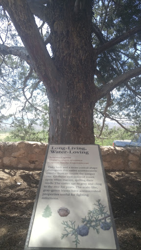 National Park «Tuzigoot National Monument», reviews and photos, 25 Tuzigoot Rd, Clarkdale, AZ 86324, USA