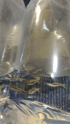 Tropical Fish Store «Two Turtles Pet Center», reviews and photos, 760 W Market St, Akron, OH 44303, USA