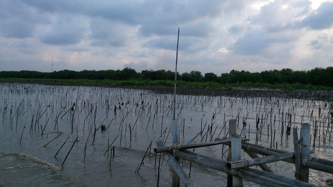 Wisata Edukasi Penanaman Mangrove Jadimulya