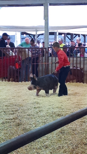 Fairground «Owen County Fairgrounds», reviews and photos, S East St, Spencer, IN 47460, USA