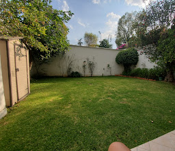 Hotel Singular Coyoacán (Pepper My Love!) photo