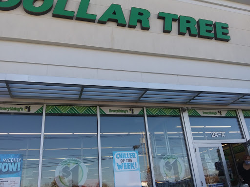 Dollar Store «Dollar Tree», reviews and photos, 24 Blandin Ave, Framingham, MA 01702, USA