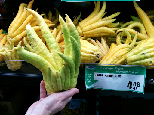 Shopping Mall «Northview Shopping Center», reviews and photos, 5078 W 92nd Ave, Westminster, CO 80031, USA