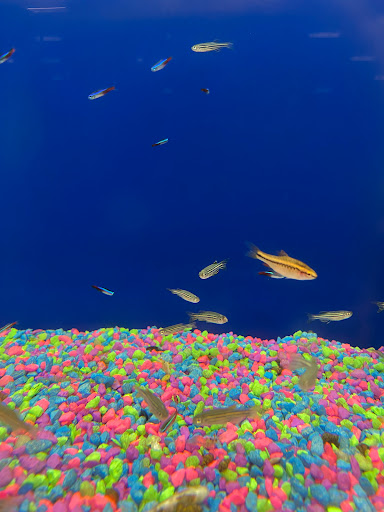 Pet Supply Store «PetSmart», reviews and photos, 4120 E 4th St, Ontario, CA 91764, USA