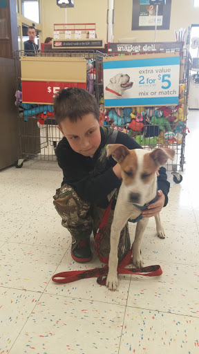 Pet Supply Store «Petco Animal Supplies», reviews and photos, 475 S Wadsworth Blvd, Lakewood, CO 80226, USA