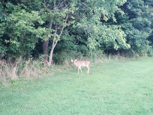 Golf Club «Winters Run Golf Course», reviews and photos, 1000 N Tollgate Rd, Bel Air, MD 21014, USA