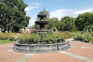 Central Park Rose Garden image