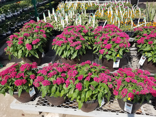 Home Improvement Store «The Home Depot», reviews and photos, 373 E Fm 1382, Cedar Hill, TX 75104, USA