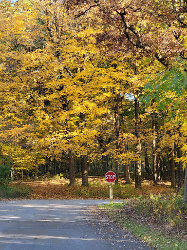 Park «Hammel Woods - DuPage River Access», reviews and photos, 23435 Black Road, Shorewood, IL 60431, USA