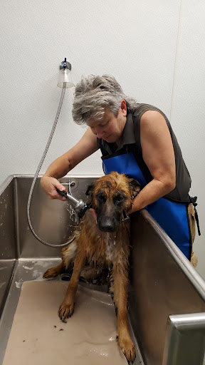 Pet Store «Essential Pet», reviews and photos, 17920 Cottonwood Dr, Parker, CO 80134, USA