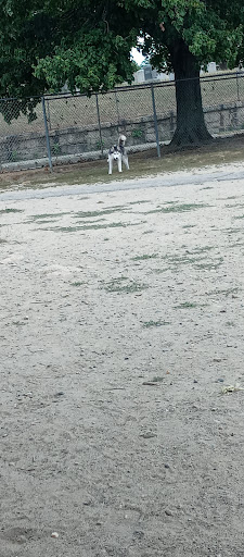 Park «Dog Park», reviews and photos, 1121 Locust St, Fall River, MA 02720, USA