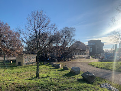 Lianes à Strasbourg