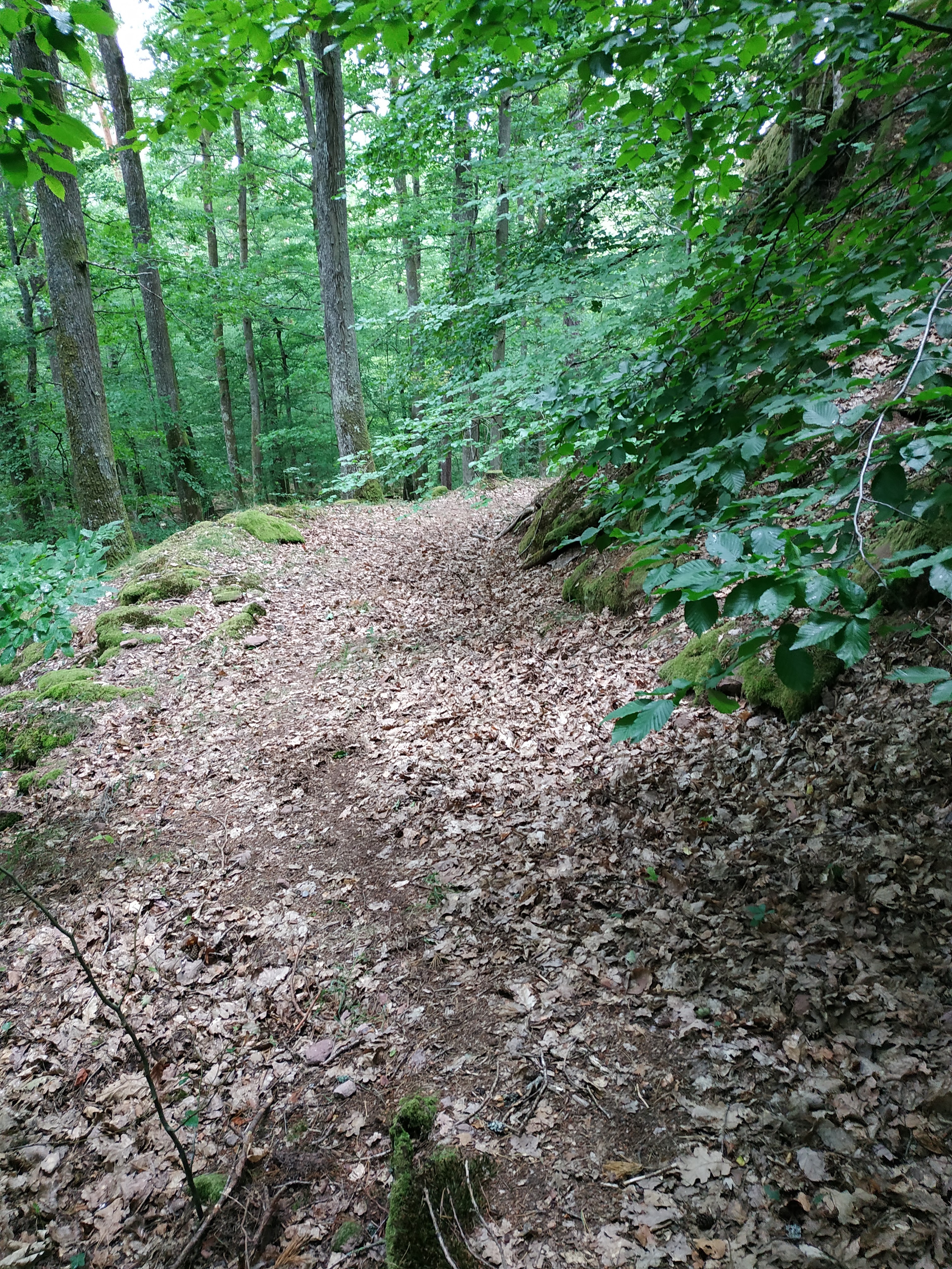 Photo n° 2 de l'avis de Sorti.u fait le 28/06/2020 à 16:16