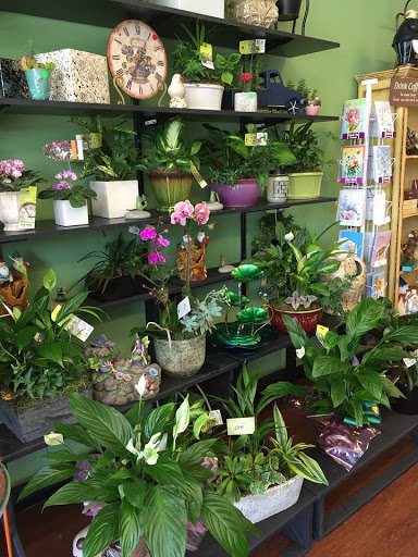 Florist «Enchanted Florist & Gifts», reviews and photos, 9140 Alcosta Blvd B, San Ramon, CA 94583, USA