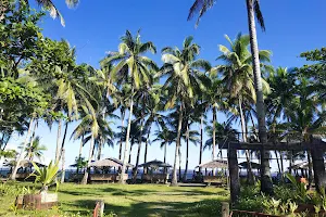 Magbanua Beach Resort image