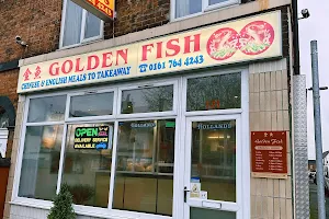 Golden Fish image