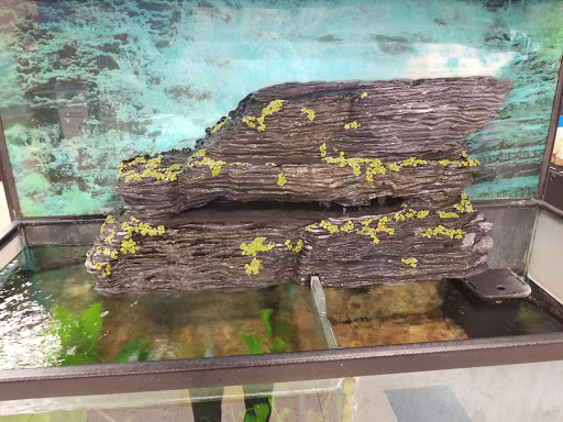 Pet Supply Store «Petco Animal Supplies», reviews and photos, 855 E Bidwell St, Folsom, CA 95630, USA