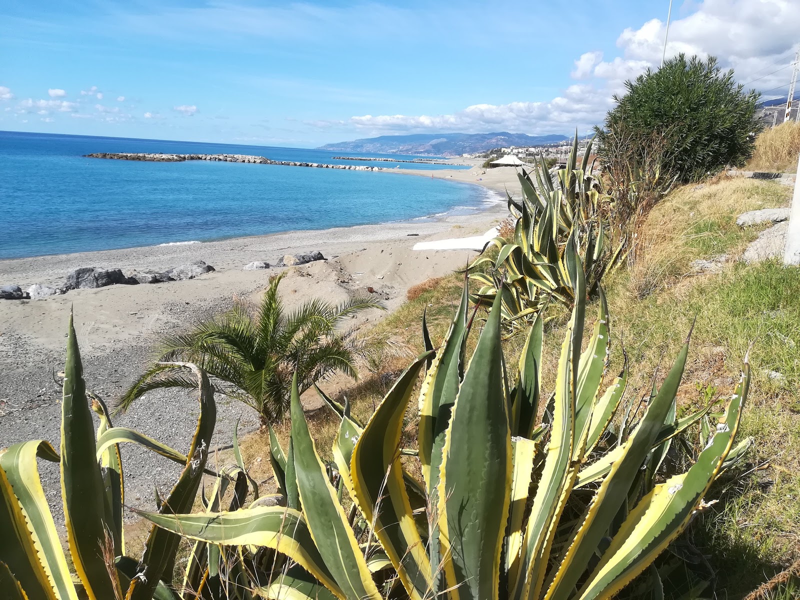 Palm beach'in fotoğrafı plaj tatil beldesi alanı