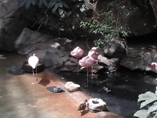 Gift Shop «Minnesota Zoo Gift Shop», reviews and photos, 13000 Zoo Blvd, Apple Valley, MN 55124, USA