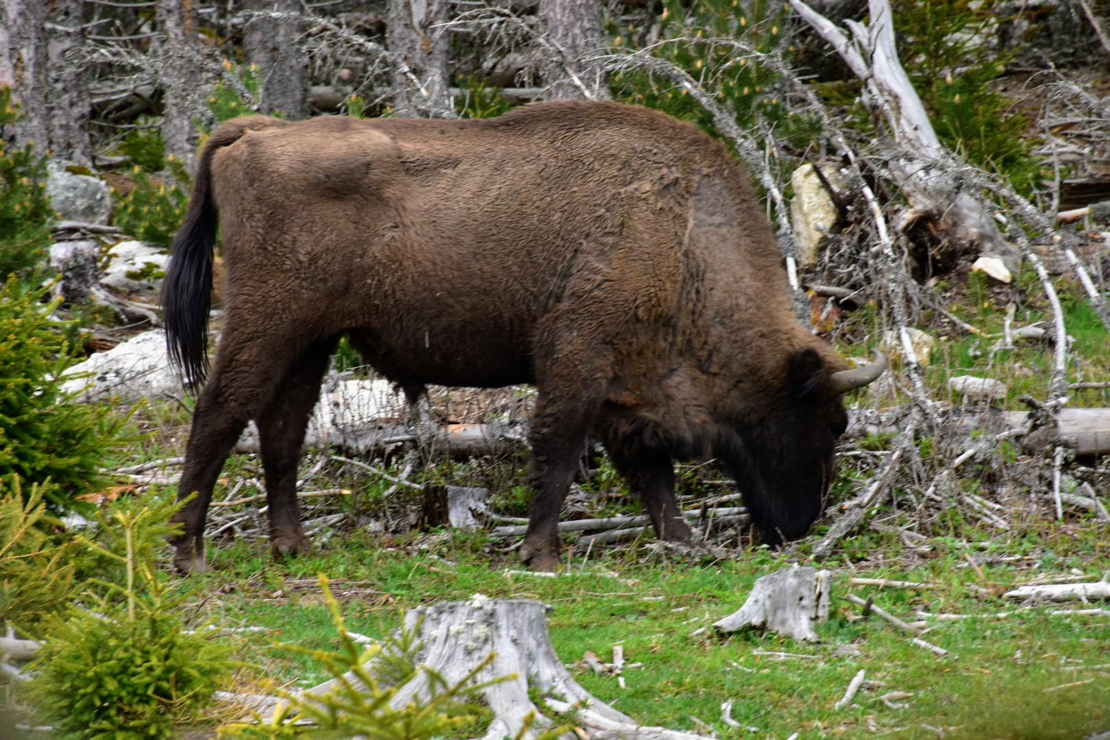 Photo n° 7 de l'avis de Muriel.e fait le 09/05/2023 à 12:53