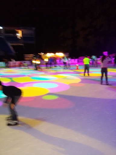 Ice skating rinks in San Juan