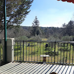 Photo n°4 de l'avis de giulia.e fait le 20/03/2023 à 11:40 sur le  Trattoria-Gostilna Sardoč (Precenico) à Duino-Aurisina