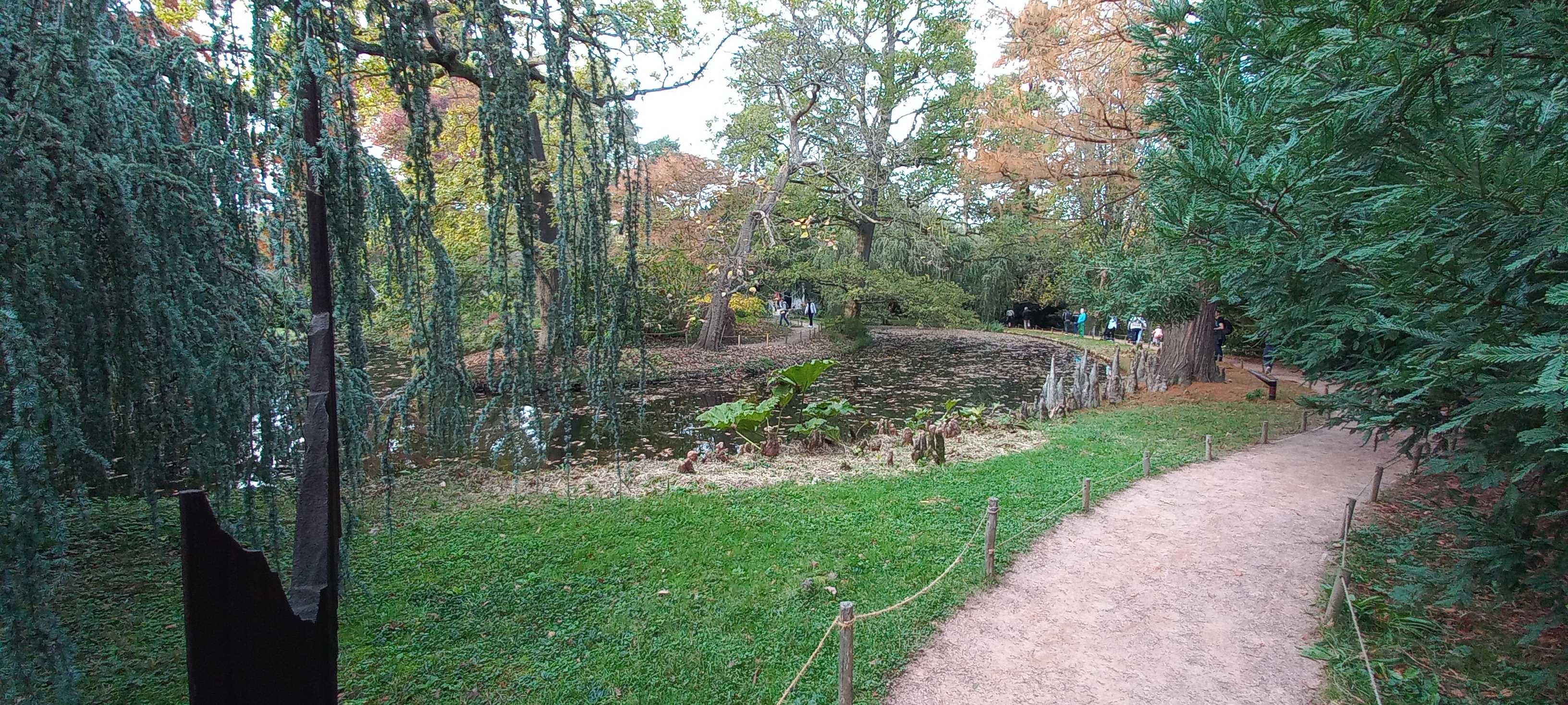 Photo n° 4 de l'avis de Virginie.� fait le 31/10/2022 à 19:19