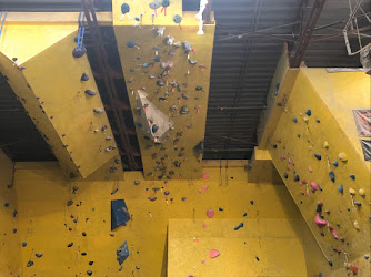 Coyote Rock Gym