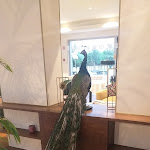 Photo n°3 de l'avis de Maria.r fait le 08/01/2023 à 11:24 sur le  Monte Real Hotel,Termas & Spa à Monte Real