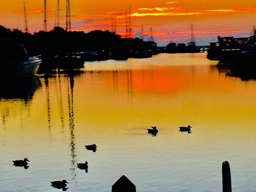 Computer Store «Apple Towson Town Center», reviews and photos, 825 Dulaney Valley Rd, Towson, MD 21204, USA